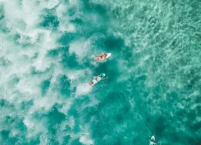 bird's eye photography of people surfing