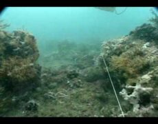 Explora el fascinante mundo de la arqueología submarina en el Museo Subacuático de Marsella: una experiencia única de turismo cultural y viaje en el tiempo