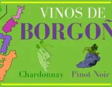 Descubre la fascinante historia del vino en el Museo del Vino de Borgoña: un imprescindible para tu viaje enológico