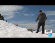 Turismo de aventura: Descubre el ala delta en los Pirineos Marítimos de Francia