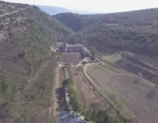 Descubre la belleza de la Abadía de Senanque en un viaje turístico por la Provenza