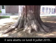 Descubre los encantos turísticos de los jardines de Élincourt-Sainte-Marguerite