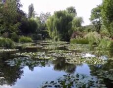 Descubre la magia del turismo en Giverny: Explorando los jardines de Monet