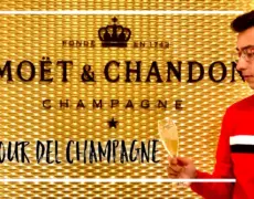 Turismo en Champagne: Descubriendo los Viñedos en un Viaje Inolvidable