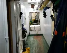 Descubre la belleza de la Camarga en una excursión en barco: turismo y viaje imperdibles