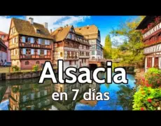 Descubre el encanto de los viñedos de Alsacia en una travesía en bicicleta de carretera: la ruta perfecta para los amantes del turismo en Francia