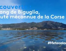 Descubre la belleza de la Laguna de Étang de Biguglia en tu próximo viaje a Córcega