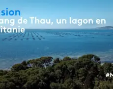 Descubre la belleza de la Laguna de Étang de Thau en tu próximo viaje a Occitania