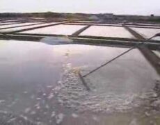 Descubre los encantos del turismo en los Marais salants de Guérande, una joya del País del Loira