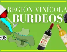 Descubre el turismo enológico en Francia: prueba las mejores variedades de vino en sus regiones vinícolas