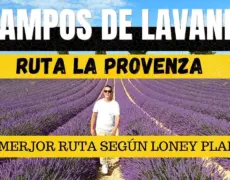 Turismo en Provenza: Descubre los impresionantes campos de lavanda