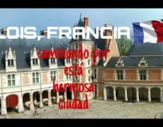 Descubre los encantos del turismo en Blois: una guía de viaje imperdible