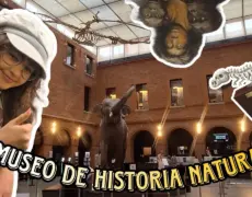 Descubre la fascinante historia de Toulouse: visita el Museo de Historia Natural