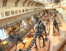 Descubre la fascinante historia natural de París: turismo y viaje al Museo de Historia Natural