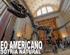 Descubre la fascinante galería de dinosaurios en el Museo de Historia Natural: un imperdible en tu viaje de turismo